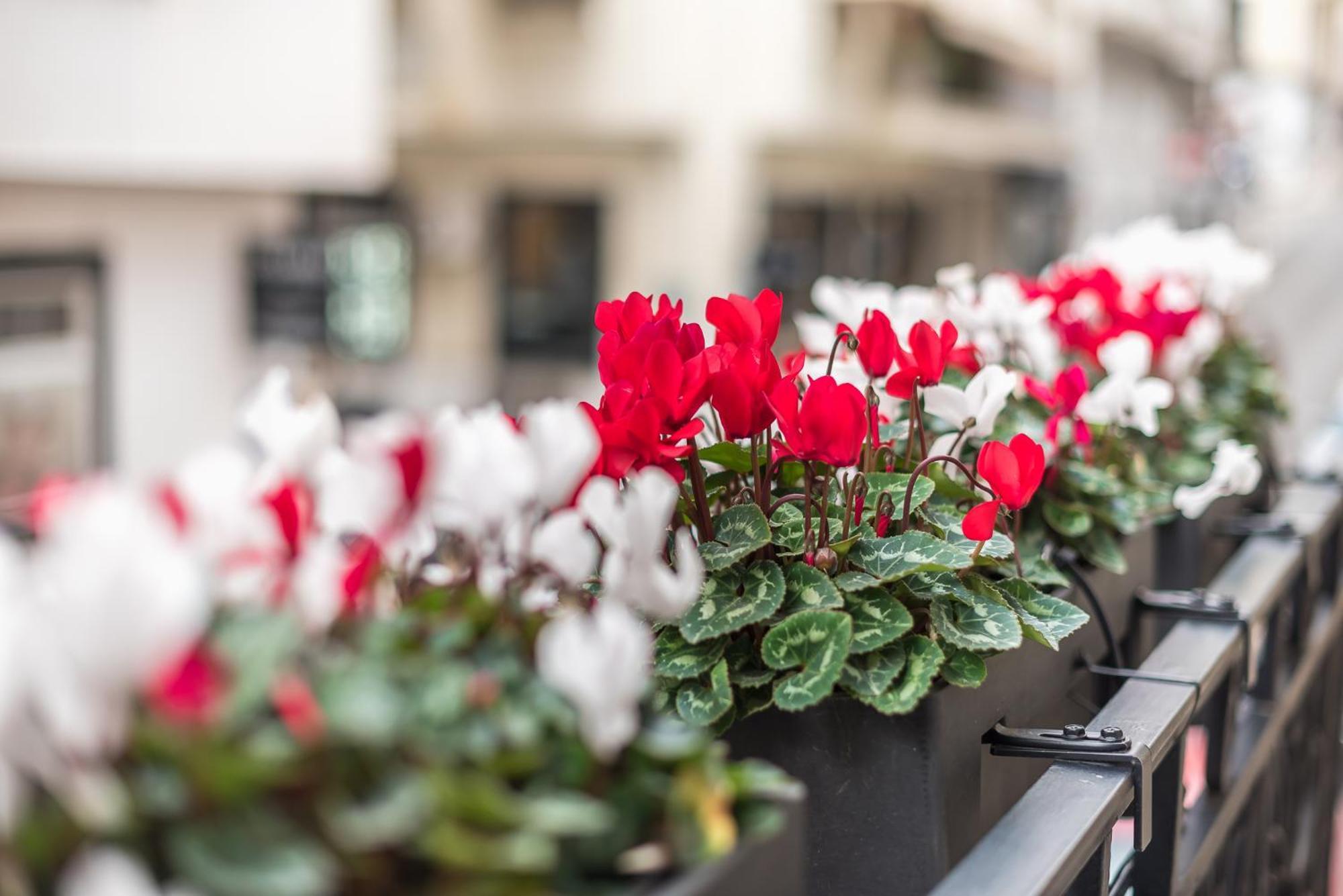 The Rare Luxury Gem Near Syntagma, Kolonaki Square Apartamento Atenas Exterior foto